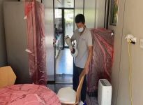 甲醛的危害及清除方法？